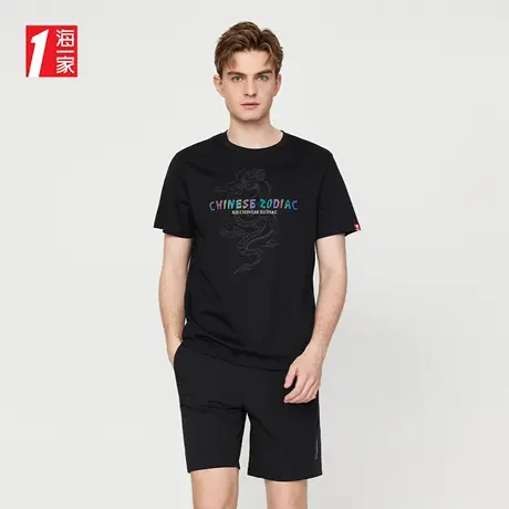海一家中国风印花短T2023夏季新款时尚休闲透气短袖T恤男商品大图