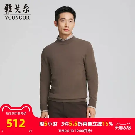【商场同款】雅戈尔男士羊毛衫秋冬新款官方商务休闲羊毛衫男商品大图