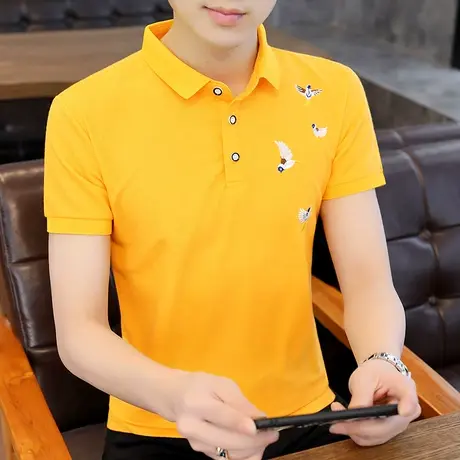 2025夏季翻领T恤男韩版潮流青年短袖Polo衫棉感休闲时尚潮牌上衣商品大图