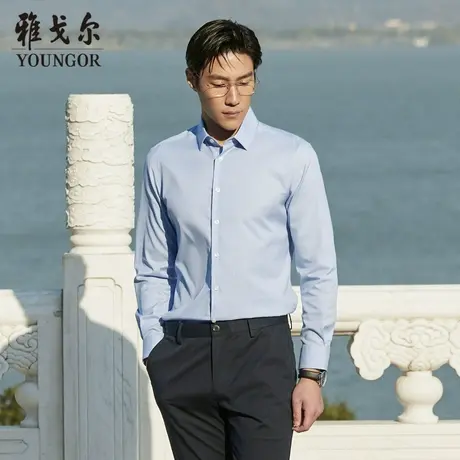 雅戈尔奥莱 男士秋季新品商务休闲衬衣舒适全棉免烫长袖衬衫商品大图