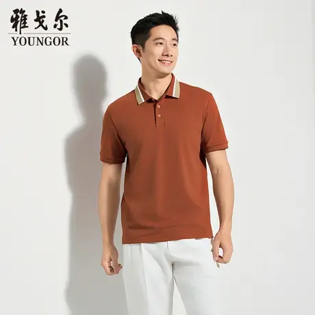 【商场同款】雅戈尔男士短袖POLO夏季新款官方商务休闲短袖T恤男图片