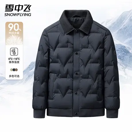 雪中飞男士轻薄保暖羽绒服2025冬季新款外套时尚百搭翻领薄款外套商品大图