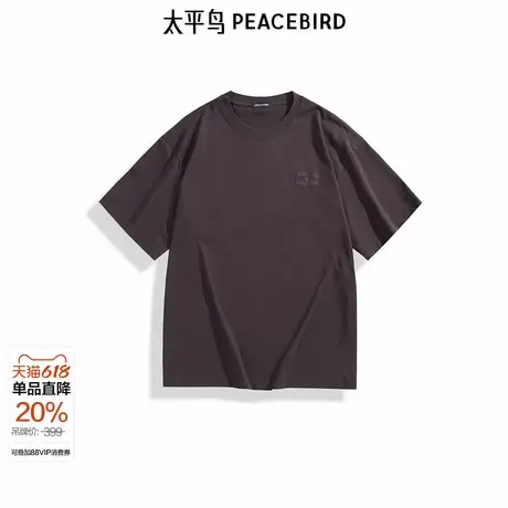 【商场同款】太平鸟男装T恤25春夏新款重磅刺绣短袖衫 B1CNF1232图片