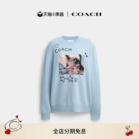 【新品】COACH/蔻驰女士小兔图案嵌花圆领毛衣含羊毛休闲舒适通勤商品大图