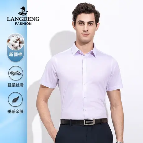 浪登2023夏季新款男士商务条纹短袖衬衫职业工装衬衣薄款休闲上衣商品大图