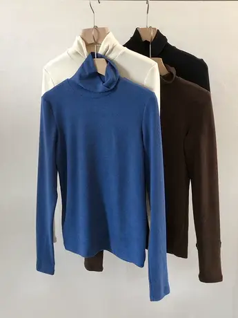 长袖t恤女秋冬2020新款韩版ins潮高领修身显瘦百搭打底衫内搭上衣商品大图