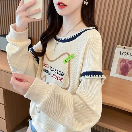 早秋无帽卫衣女春秋季韩版宽松薄款设计感小众小个子撞色上衣外套商品大图