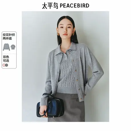 太平鸟 25春季新款miu系绞花polo领短袖T恤同色系圆领开衫含羊毛商品大图