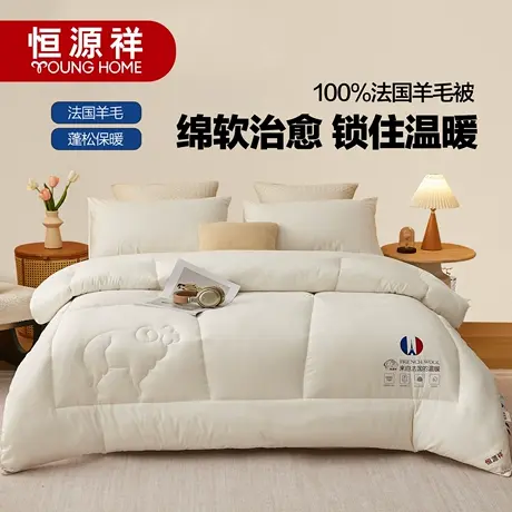 恒源祥被子法国云朵被纯羊毛被学生宿舍冬被被芯四季通用春秋被商品大图