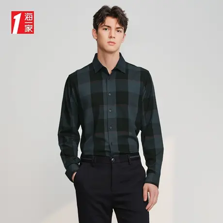 海一家经典格纹长衬2023秋季新款商务休闲简约舒适长袖衬衫男图片