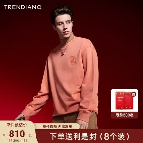 TRENDIANO立体字母植绒卫衣2024年春季新款休闲圆领百搭上衣男潮商品大图