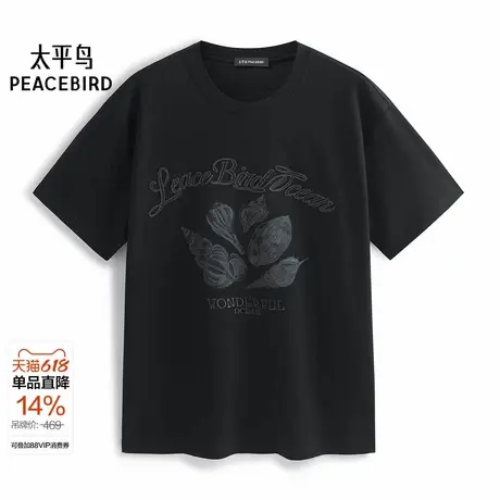 【商场同款】太平鸟男装 休闲T恤重磅刺绣印花T恤男短袖B1CNF2613图片