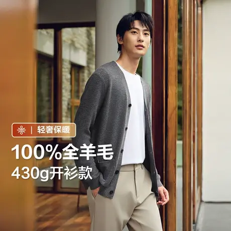 【100%绵羊毛】红豆男装全羊毛开衫2025秋季新品高品质休闲外套男图片