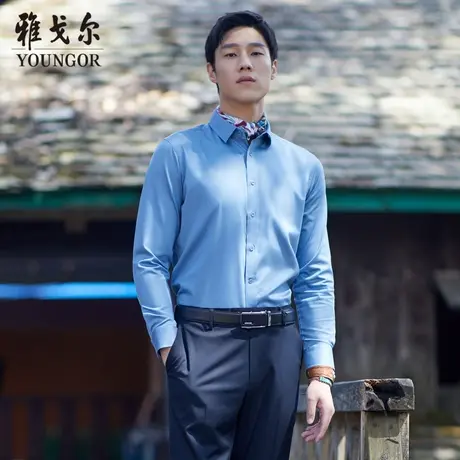 【防蚊】D系雅戈尔衬衫夏季易打理商务棉弹修身长袖衬衫衬衣商品大图