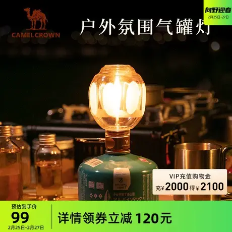 户外精致露营气灌灯复古便捷帐篷氛围灯营地灯照明燃气灯大肚汽灯商品大图