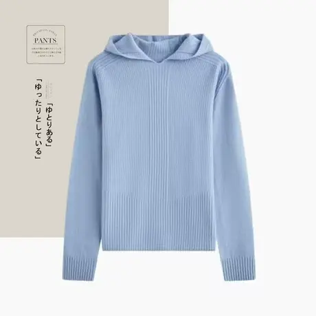 享永子无缝一线成衣绵羊毛套头毛衣女连帽羊毛衫打底2024秋冬新款图片