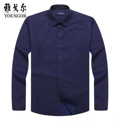 【DP免烫】D系雅戈尔衬衫秋季新款提花商务休闲长绒棉长袖衬衫男商品大图