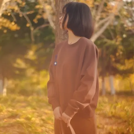 2024年新款卫衣女春秋空气层今年流行女士小个子无帽圆领短款上衣图片