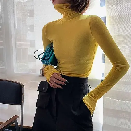 高领打底衫女秋冬长袖修身显丰满薄款微透堆堆领内搭天丝面膜t恤商品大图