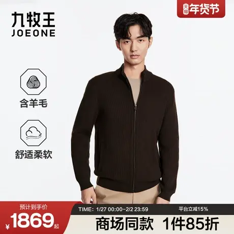 [商场同款]九牧王男装2025冬季新款时尚百搭商务休闲男长袖羊毛衫图片