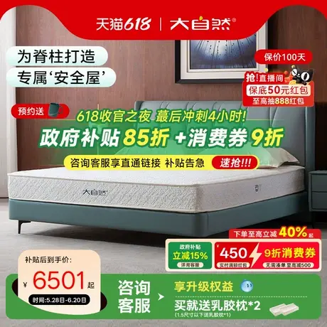 【D1】大自然定制护脊防螨透气山棕床垫单双人偏加硬席梦思软硬商品大图