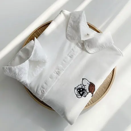 2022秋冬新款加绒长袖纯棉白衬衫女学生宽松文艺刺绣加厚打底上衣商品大图