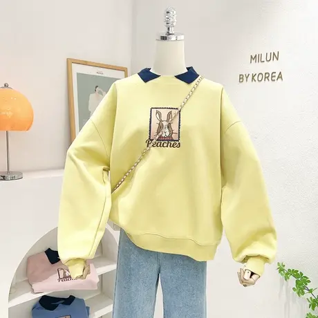 小个子上衣2023秋季新款韩国东大门ins兔子撞色polo领卫衣设计感图片