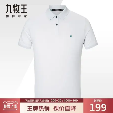 【翻领polo衫特价福袋】九牧王断码清仓短袖t恤男 夏季休闲爸爸装商品大图