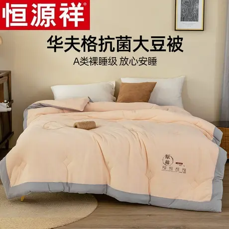恒源祥A类华夫格抗菌大豆纤维被春秋被空调被棉被芯四季通用被子图片