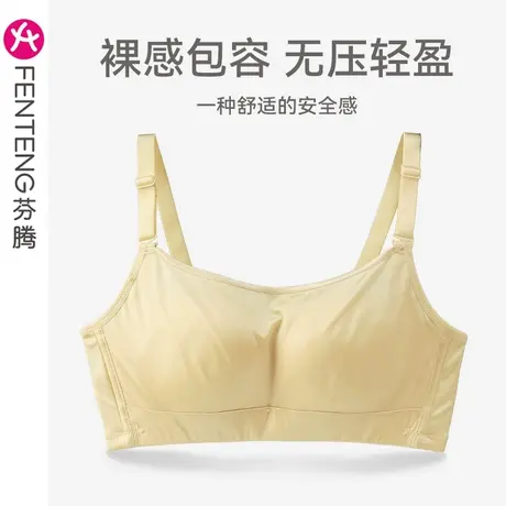 芬腾女士内衣小胸聚拢上托防下垂文胸无钢圈透气收副乳防走光胸罩商品大图
