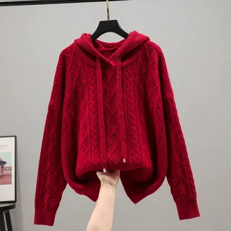 连帽衫针织衫女士百搭套头长袖毛衣女2023春季新款加厚系带上衣女商品大图