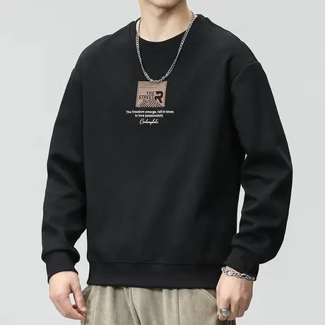 男款早秋潮牌痞帅套头打底衫秋季男生中性风圆领上衣秋天长袖卫衣图片