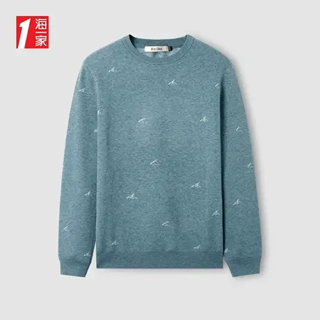 海一家时尚简约花纹毛衣2023秋季新款舒适圆领休闲长袖针织衫男商品大图