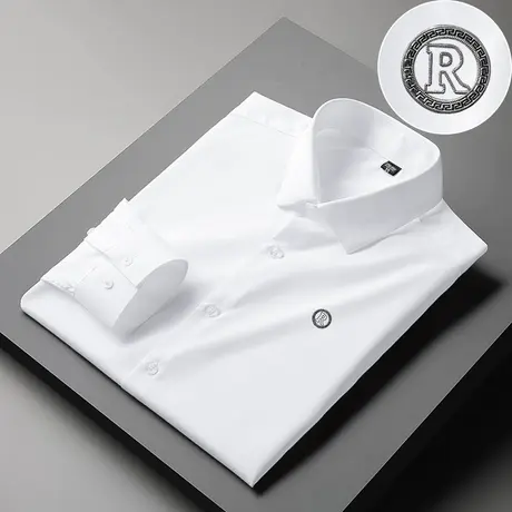 2023新款秋季衬衫男长袖商务休闲免烫抗皱白衬衣高级感轻熟风寸衫商品大图