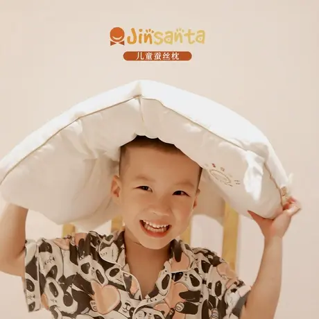 金三塔新品单人儿童蚕丝枕舒适睡眠睡觉枕头护颈枕头家用枕芯商品大图