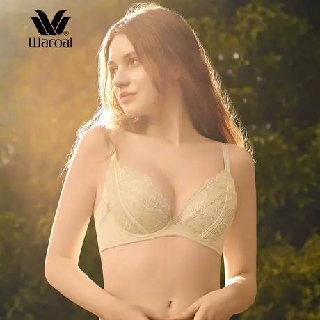 华歌尔Wacoal性感蕾丝内衣女双重侧收副乳聚拢调整文胸WB3069商品大图