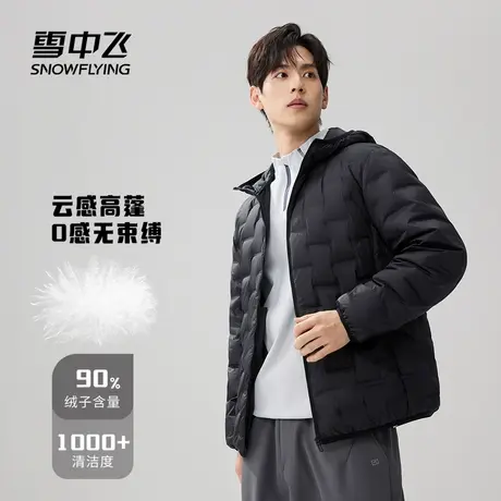 雪中飞2025冬新款短款立领设计感羽绒服男款轻便保暖商务高级感商品大图