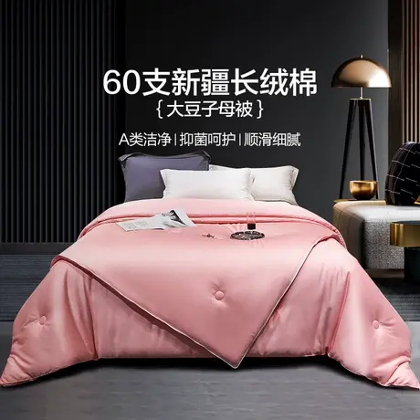 恒源祥A类大豆子母被二合一加厚保暖柔软亲肤单人四季通用被芯商品大图