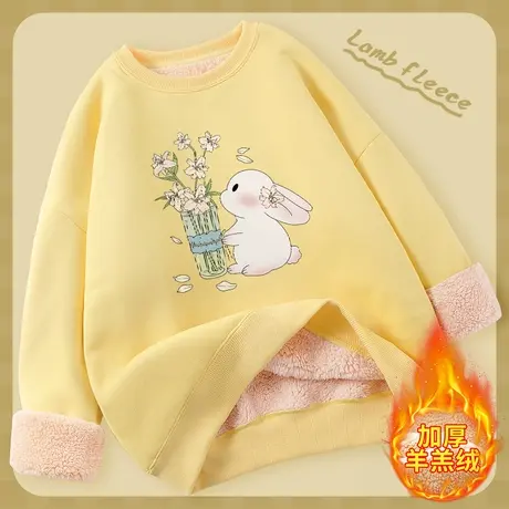 超厚卫衣女2023新款爆款秋冬羊羔绒加绒加厚冬季无帽学生外套上衣图片