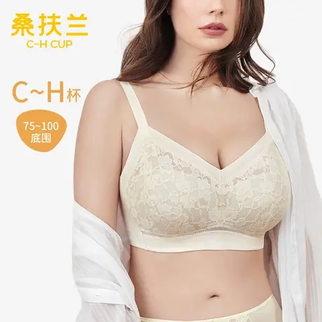 桑扶兰夏无钢圈文胸女全罩杯蕾丝上托聚拢收副乳内衣S8024010图片