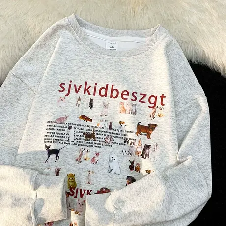 oversize设计感卫衣女ins潮牌秋冬加绒加厚宽松慵懒chic港风上衣图片