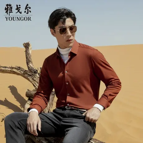 【多组分针织弹力】TP系雅戈尔衬衫秋季商务休闲绒感柔软长袖衬衫图片