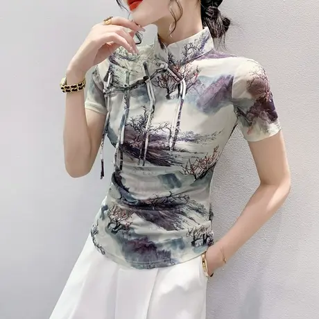 设计感小众女装复古气质盘扣上衣漂亮印花小衫性感网纱T恤短袖ins商品大图