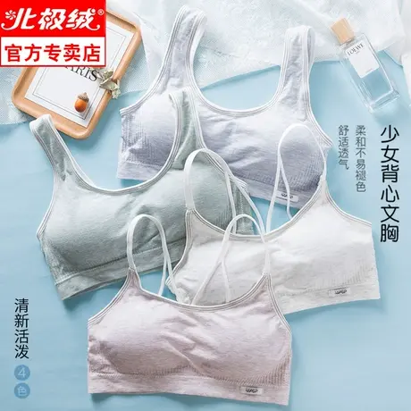 北极绒大胸显小文胸薄日系小胸运动显胸小学生高中少女无钢圈内衣商品大图