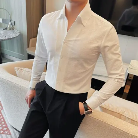 高级感商务轻奢男士衬衫春秋季2024新款纯色修身轻熟长袖打底衬衣商品大图