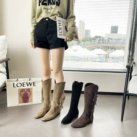 长筒靴女2023春秋季新款超火小众设计感西部牛仔靴粗跟v口骑士靴图片