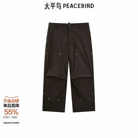 【商场同款】太平鸟男装工装休闲裤2024秋新款时尚长裤B2GBE3Z13商品大图