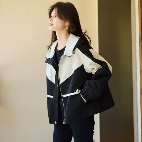 时尚气质休闲外套2023年秋季新款淑女温柔立领宽松显瘦通勤上衣商品大图