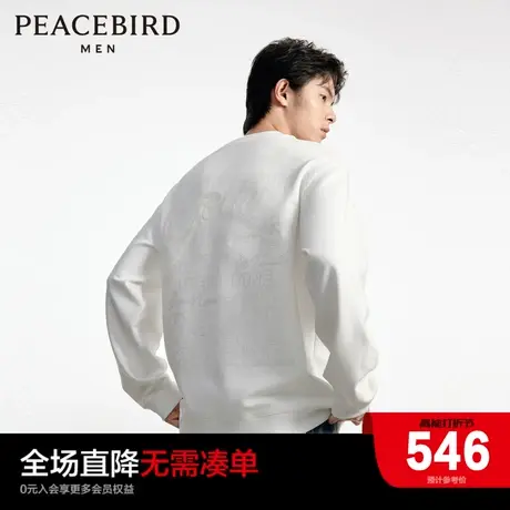【音乐青年】太平鸟男装潮流背后刺绣圆领套头宽松卫衣B1CRD3306图片