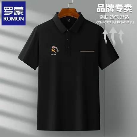 罗蒙2025新款男士POLO衫短袖t恤夏季薄款刺绣休闲翻领半袖体恤N2Z商品大图